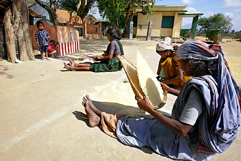 Winnowing mothers