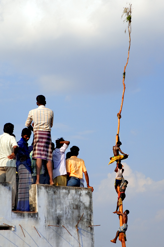 Traffic Jam on the Pole