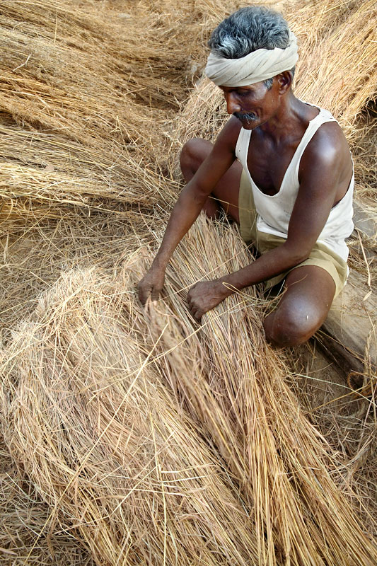 A Tamil Thatcher