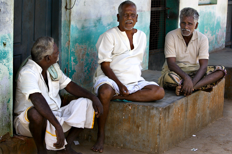 In the shade: Wisdom