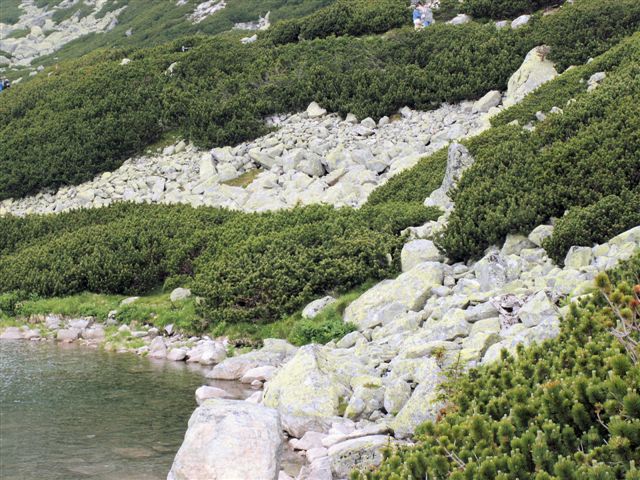 PICT0171.JPG