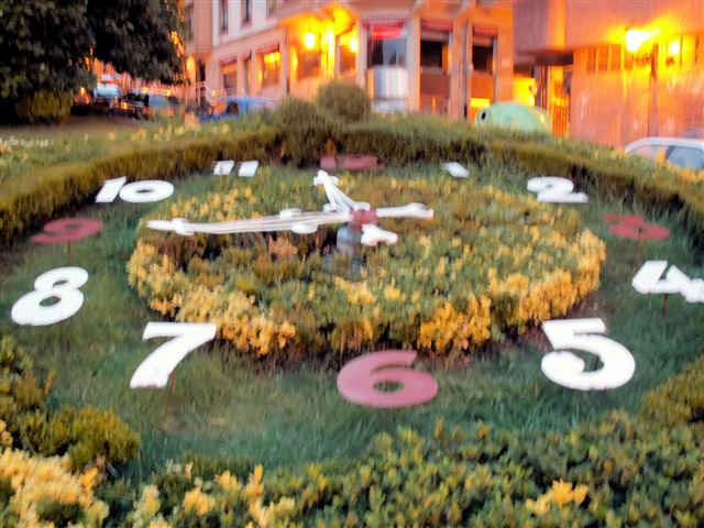 PICT0205.JPG