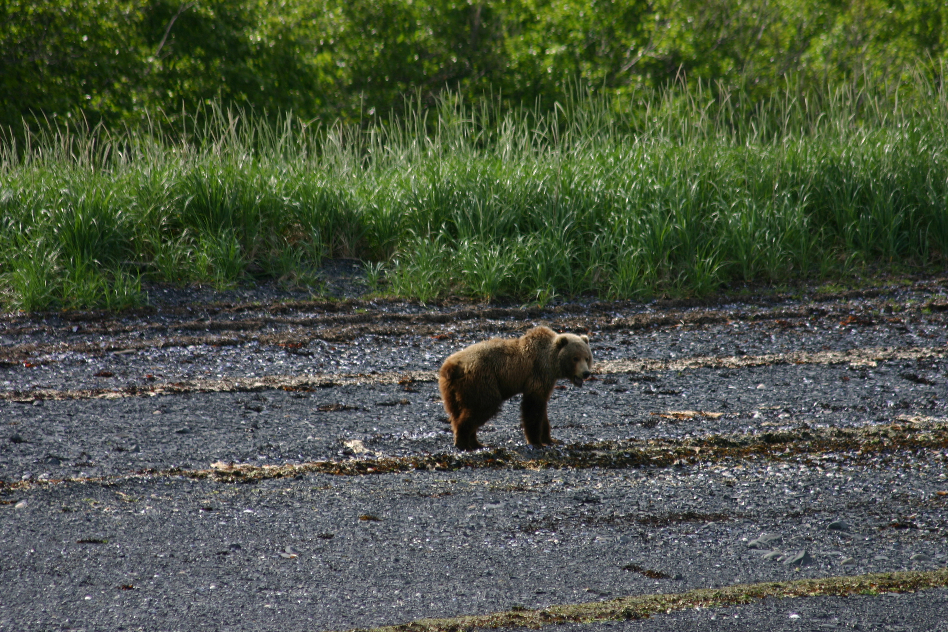 IMG_6999.JPG