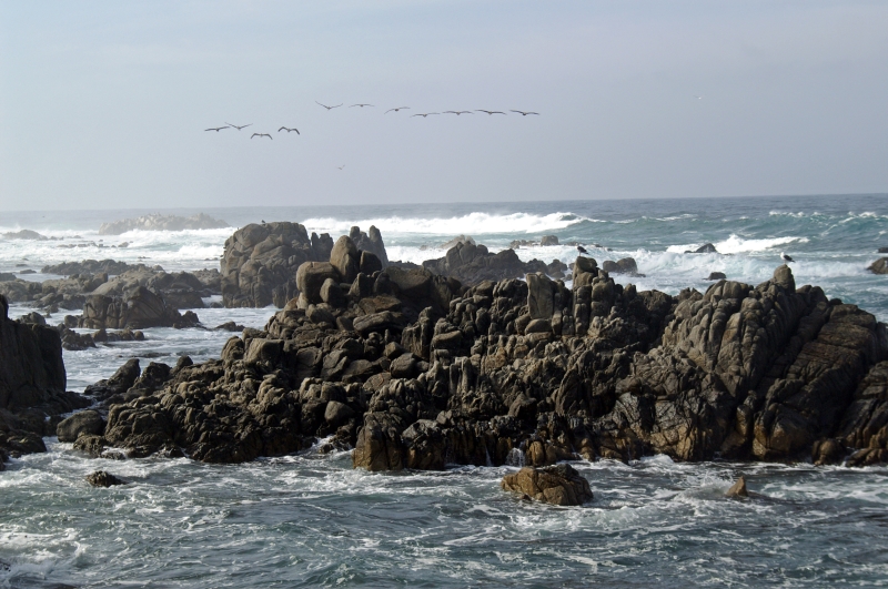 Pacific Grove/Asilomar 12