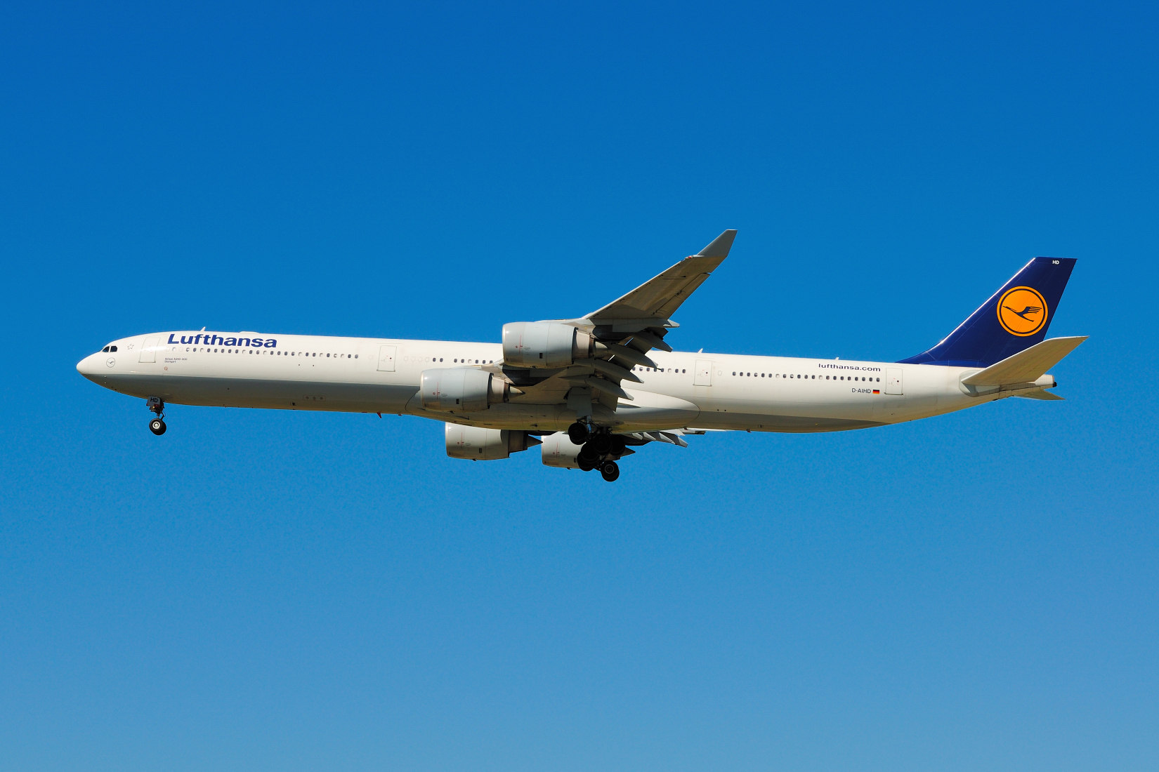 D30_0895-1.JPG