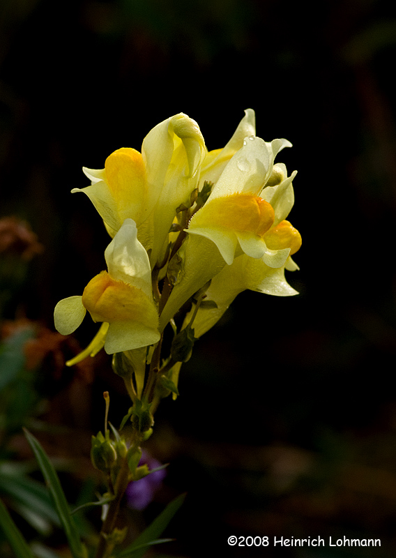 GP8072-temp.jpg