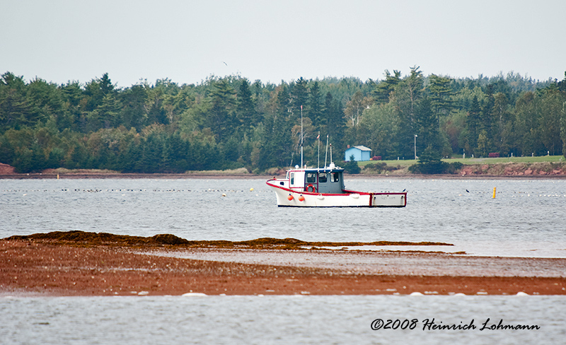 GP8146-Prince Edward Island.jpg