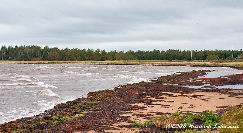 GP8398-Prince Edward Island.jpg