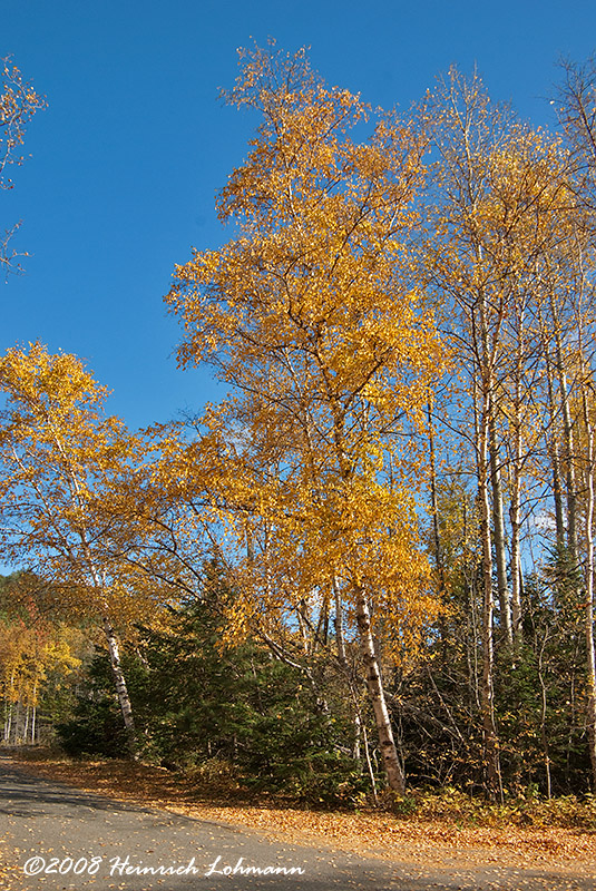 GP4762-Ontario.jpg