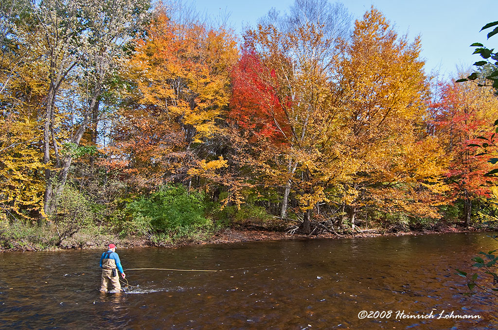 GP3708-New Hampshire.jpg