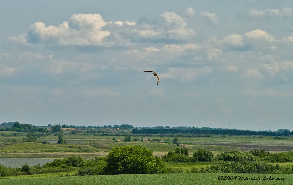 K209989-Saskatchewan.jpg