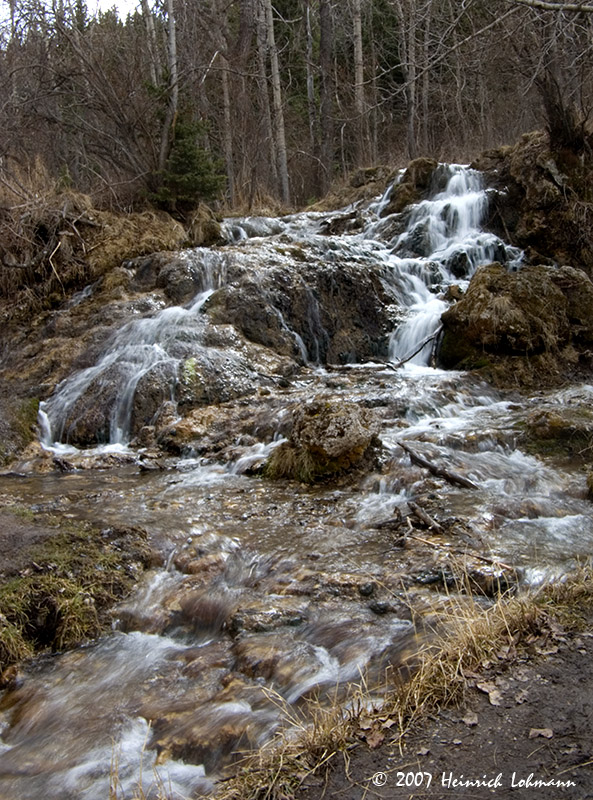 P6163-Big Hill Springs.jpg