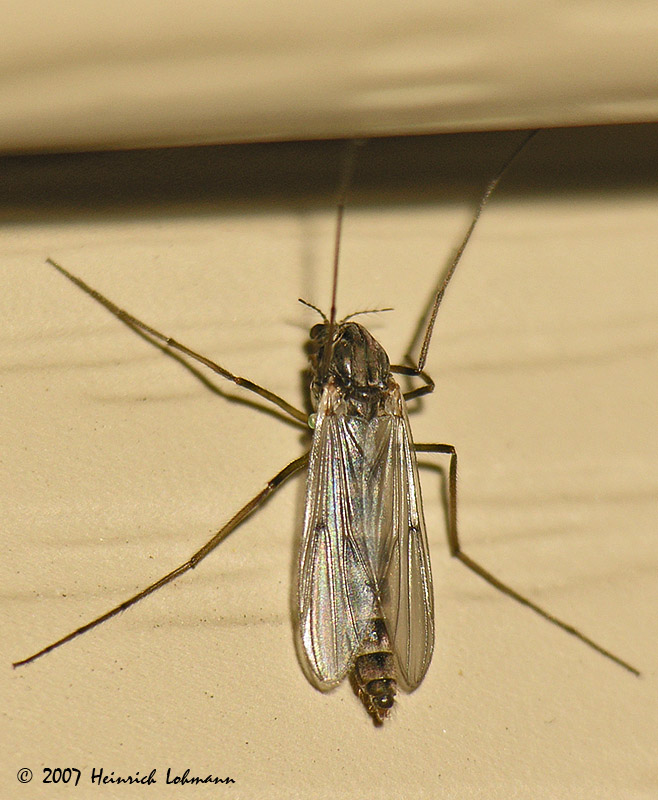 N6118-web.jpg