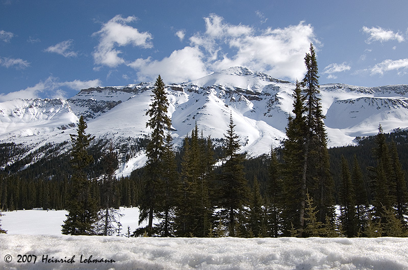 P7217-Icefields Parkway.jpg