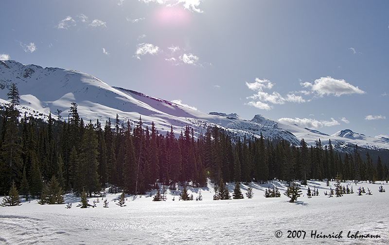 P7233-Icefields Parkway.jpg