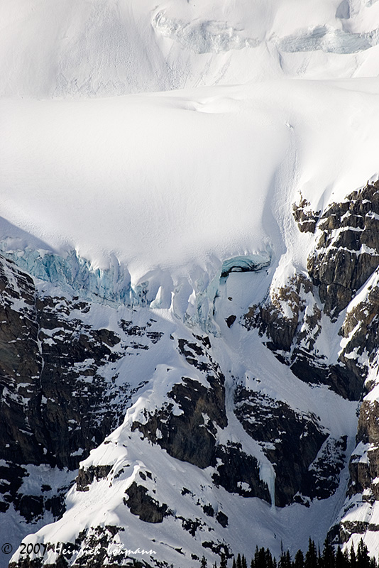 P7294-Icefields Parkway.jpg