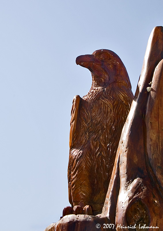 P7821-Kelowna-eagle.jpg