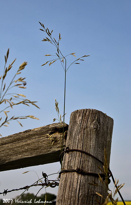 P0986-web.jpg