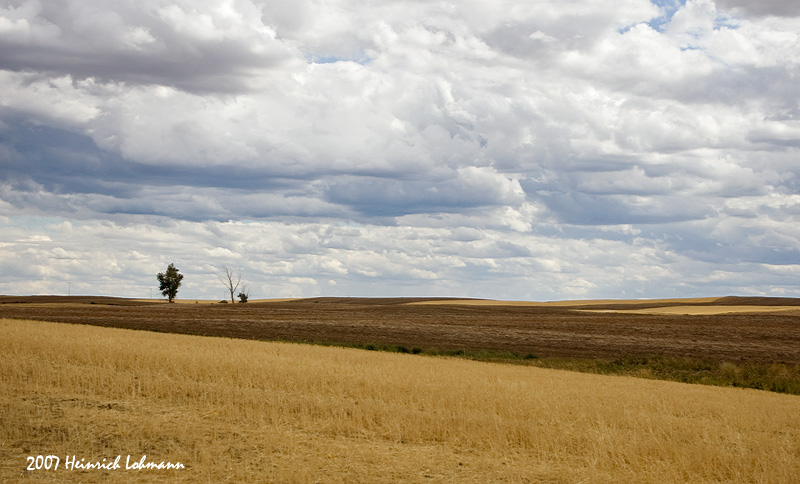 P1883-Field.jpg