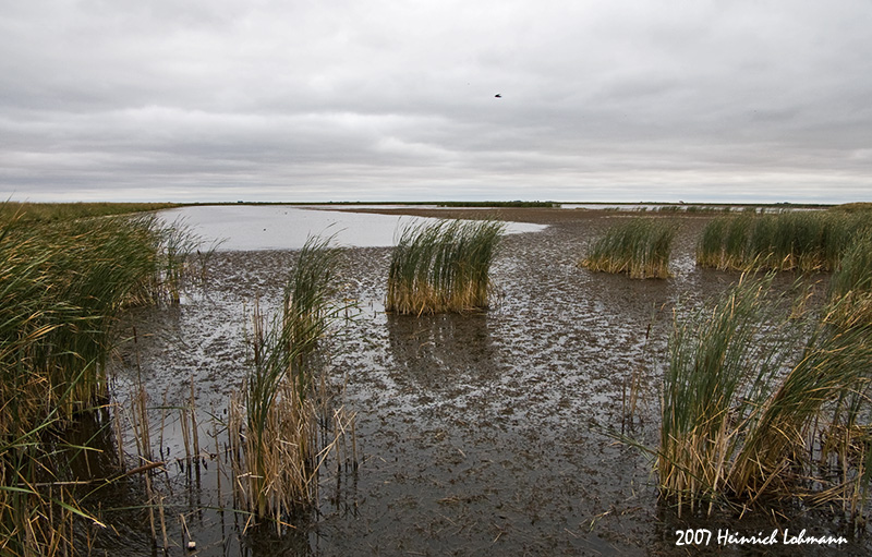 P2202-Whitewater Lake.jpg