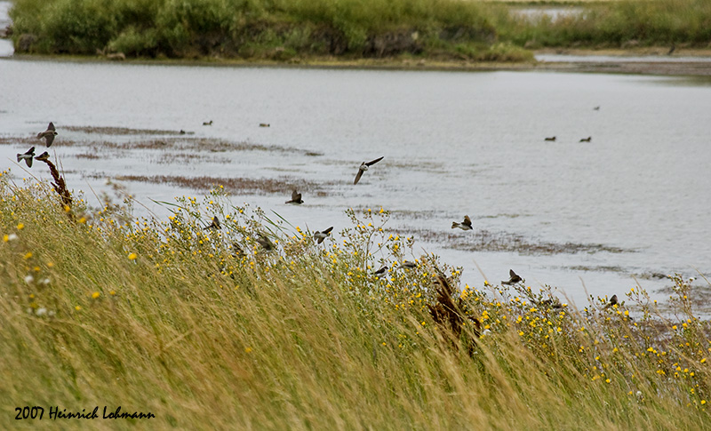 P2347-Whitewater Lake.jpg