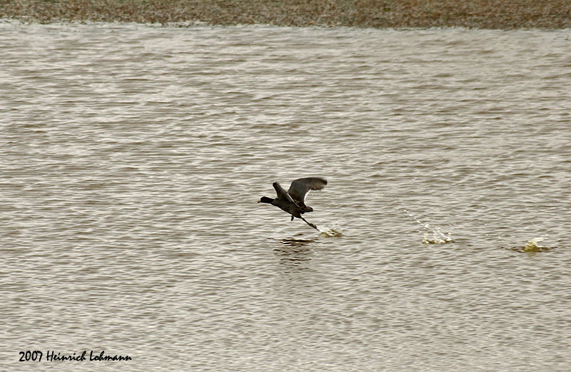 P2373-Whitewater Lake.jpg
