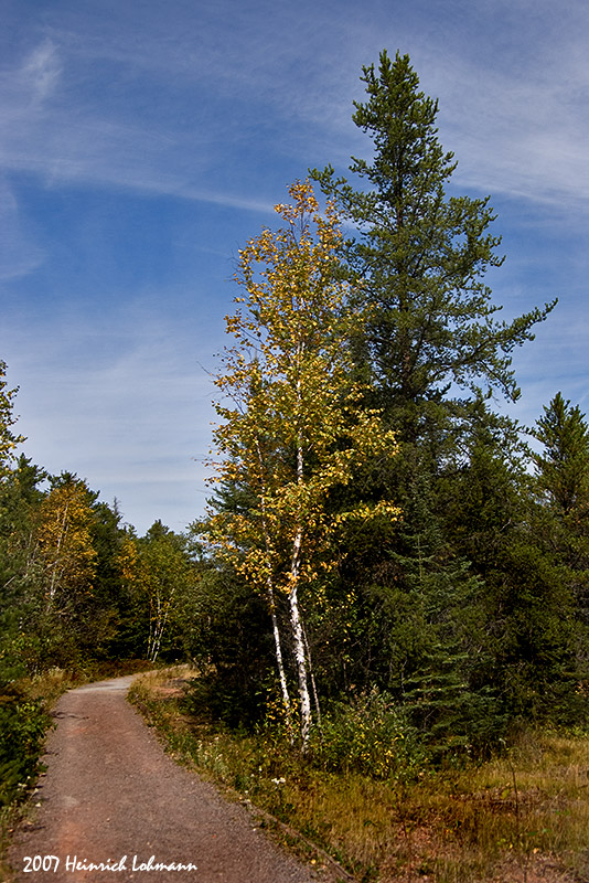 P2854-web.jpg