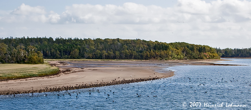 P9041-Nova Scotia.jpg