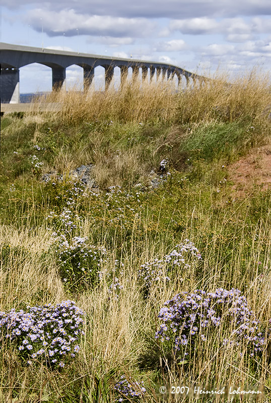 P8028-Confederation Bridge.jpg