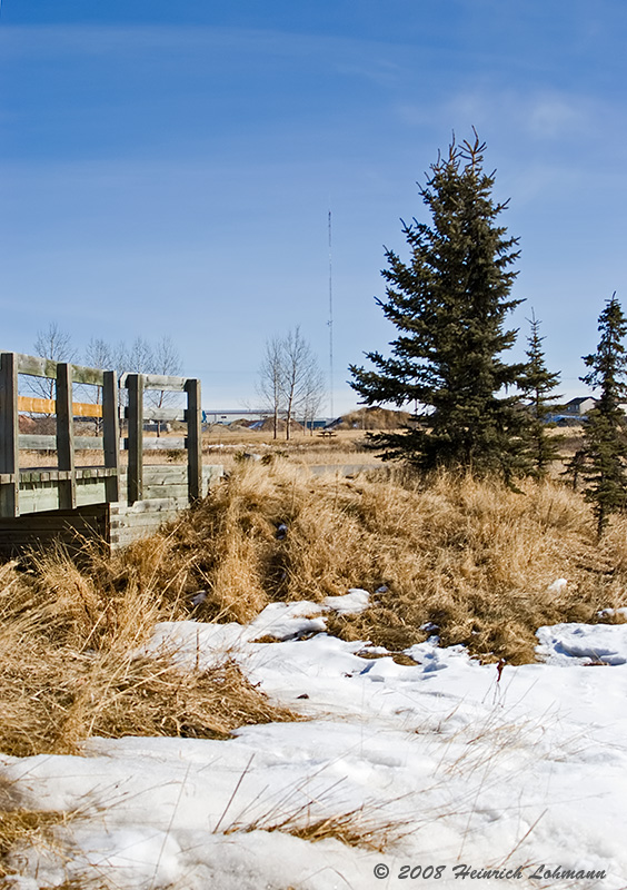 P1485-Airdrie.jpg