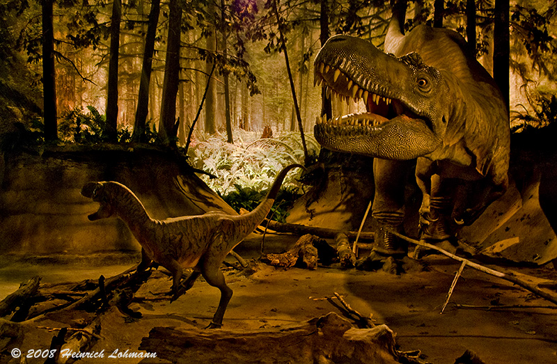 GP1631-Royal Tyrrell.jpg