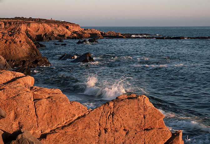 Shoreline Rocks