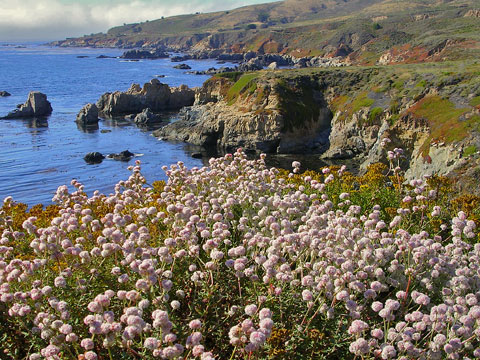 Rocky Coastline