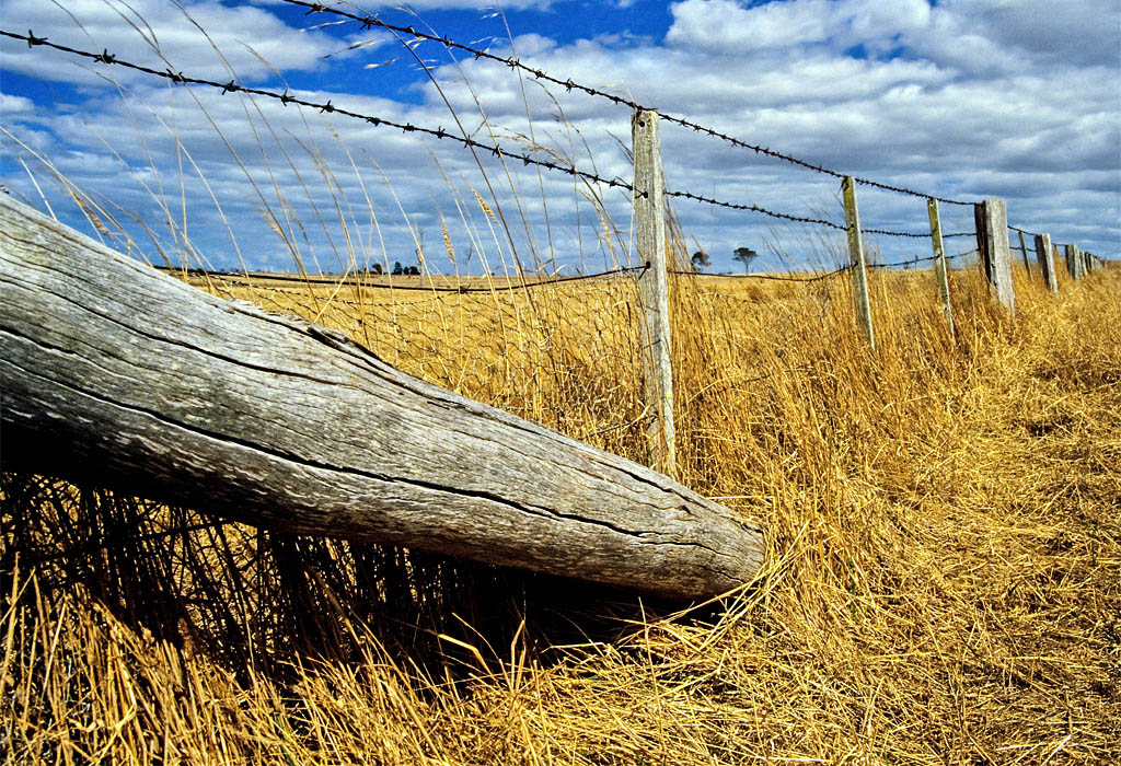 Eagle Point Fence C