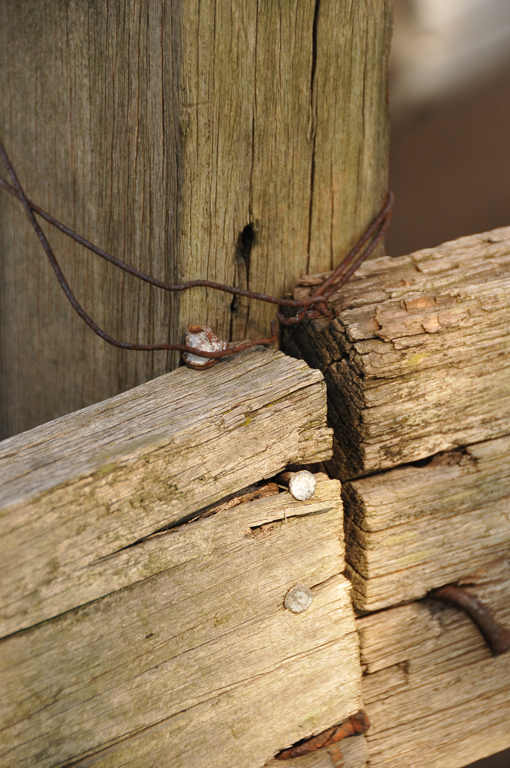 Hang in There<br><h4>*Credit*</h4>