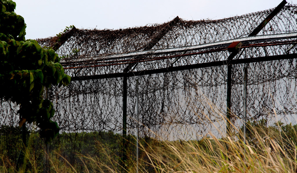 Barbed Wire Fence<br><h4>*Credit*</h4>