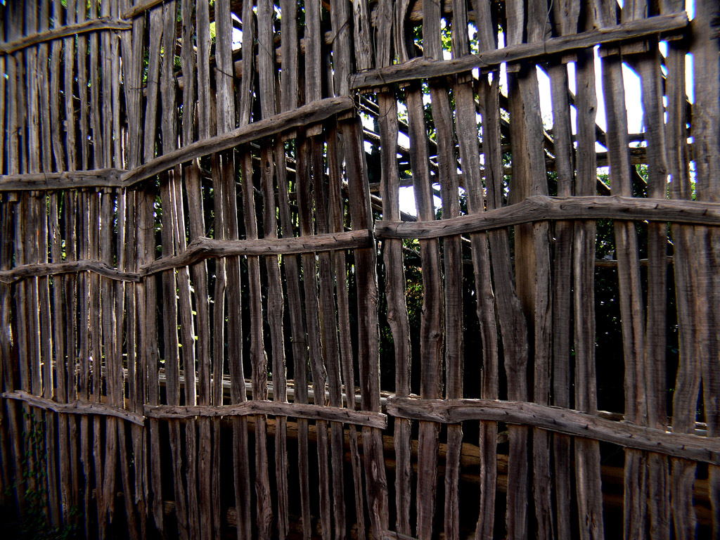 Fence<br><h4>*Credit*</h4>