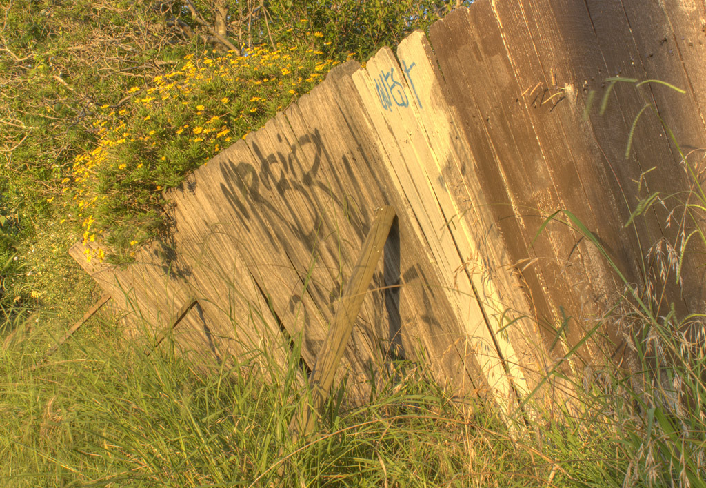 A Fine Fence<br><h4>*Credit*</h4>