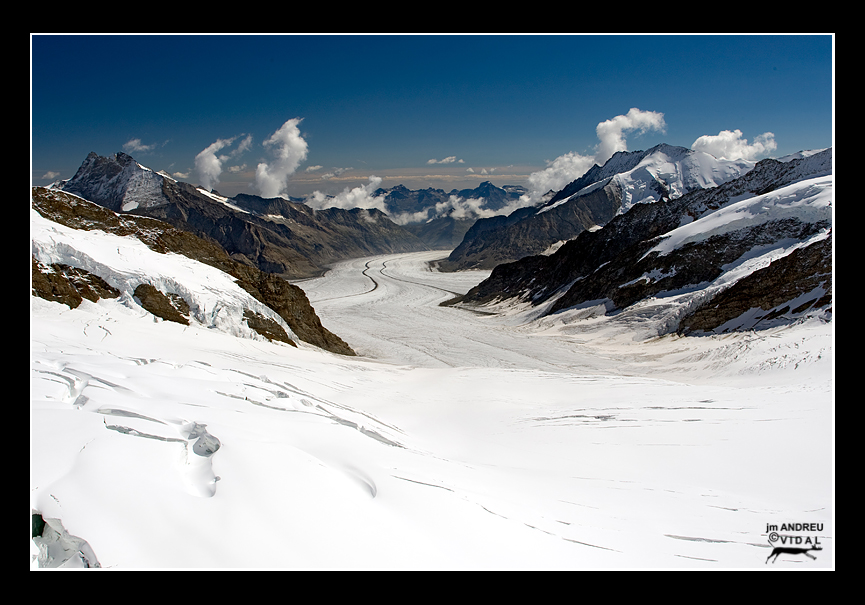 Glacera Aletsch des de Jungfrau