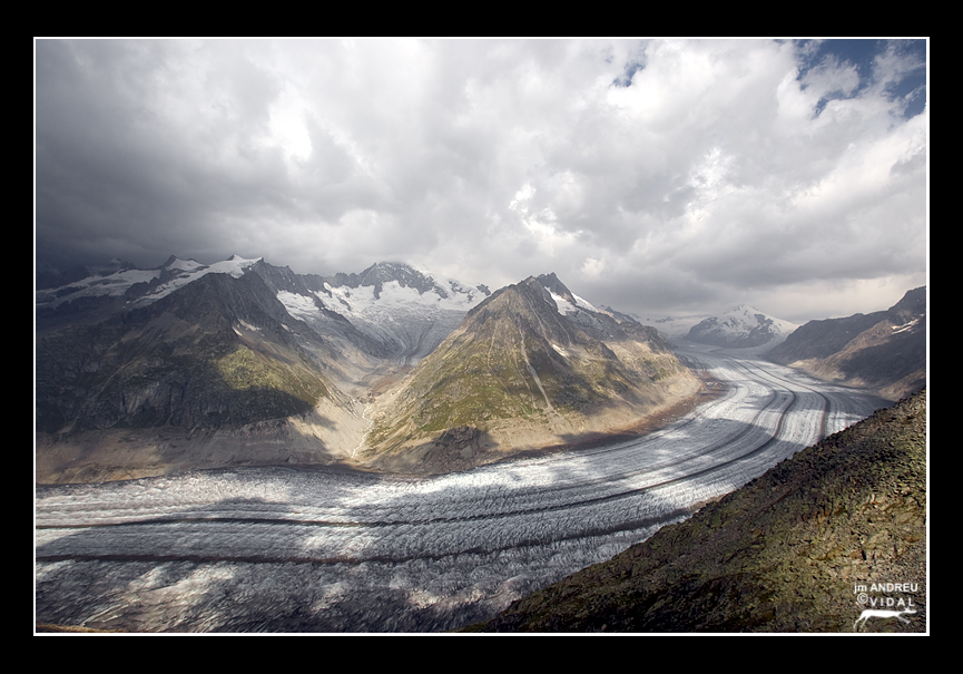 Glacera Aletsch des dEggishorn