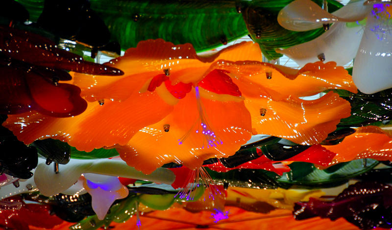 Flower Lights