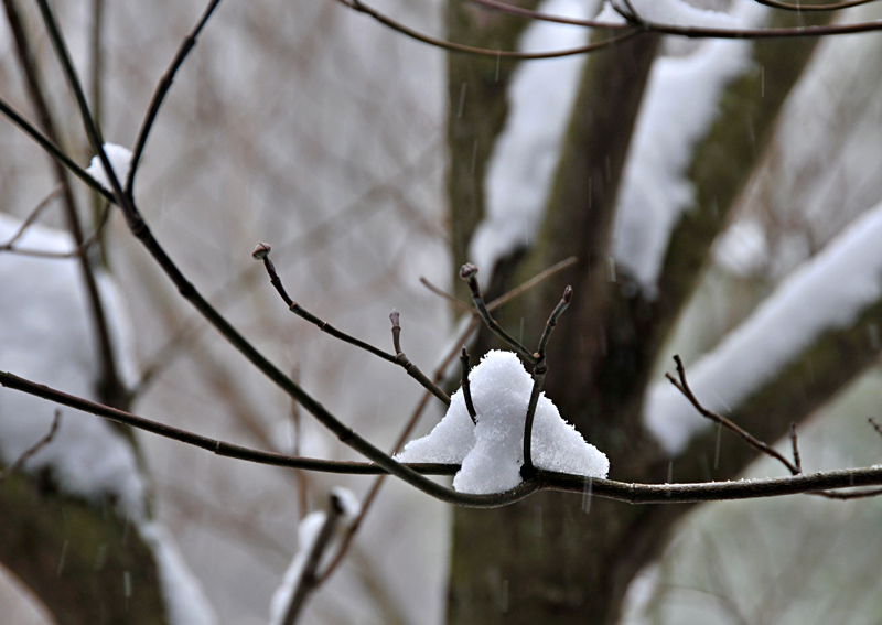 Winter Fingers