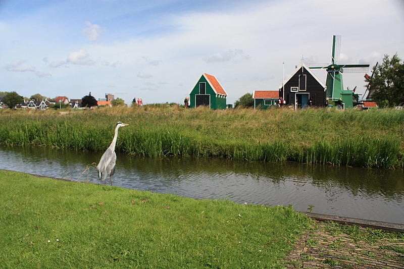 Zaanse Schans