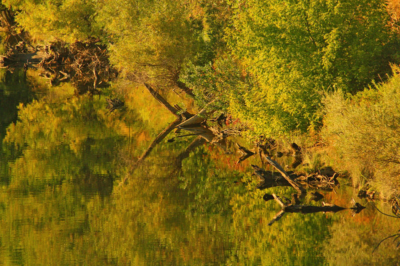 The American River