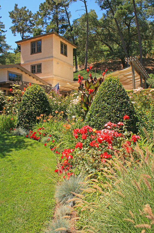 Pine Ridge Vineyard