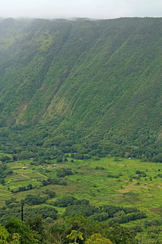 Waipio Canyon