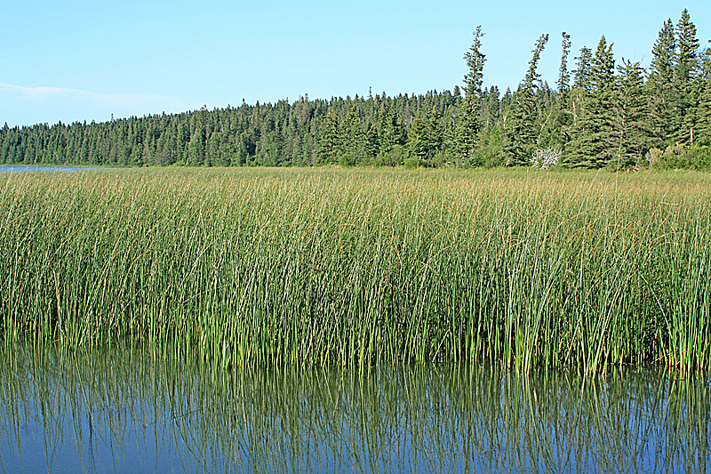 Moon Lake, Riding Mountain National Park