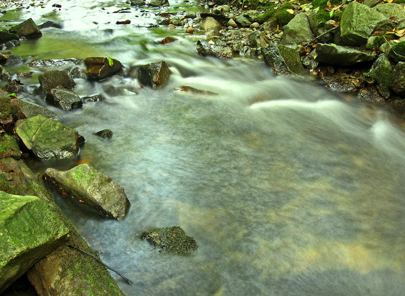Stoney Creek