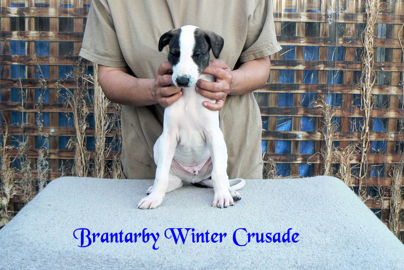 Brantarby Winter Crusade