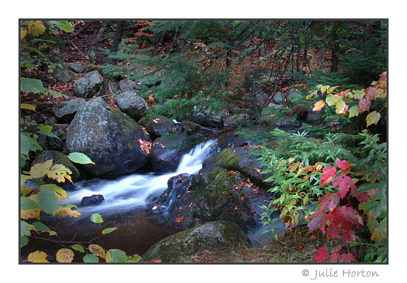 Roaring Brook